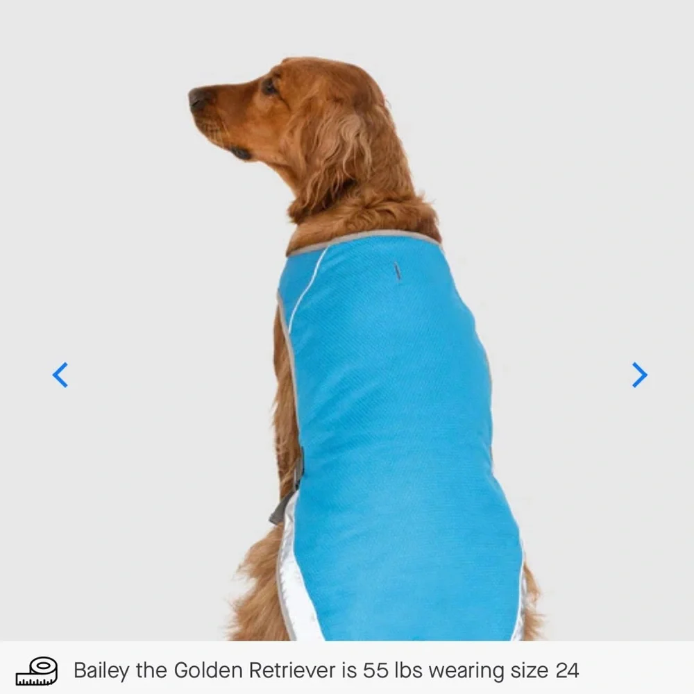 Canada Pooch Chill Seeker Cooling Vest - Blue - Size 12